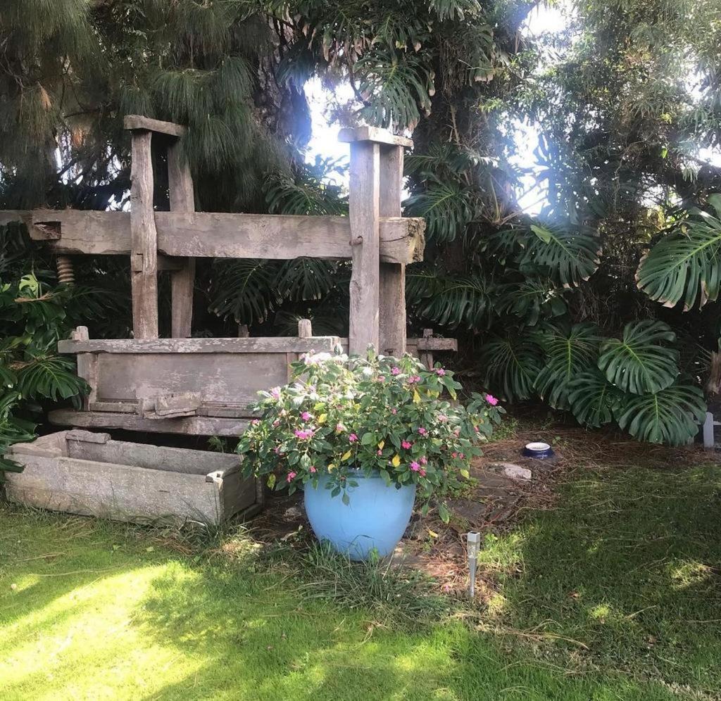 San Pedro  Casas La Principal 게스트하우스 외부 사진
