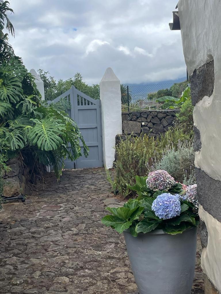 San Pedro  Casas La Principal 게스트하우스 외부 사진