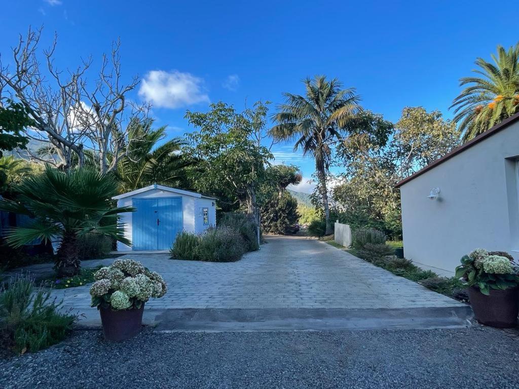 San Pedro  Casas La Principal 게스트하우스 외부 사진
